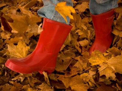 Leaves 2
